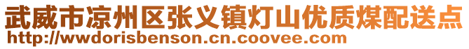 武威市涼州區(qū)張義鎮(zhèn)燈山優(yōu)質(zhì)煤配送點(diǎn)