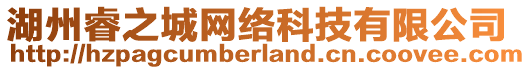 湖州睿之城網(wǎng)絡(luò)科技有限公司