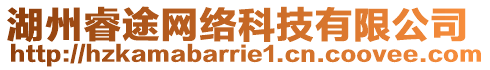 湖州睿途網(wǎng)絡(luò)科技有限公司