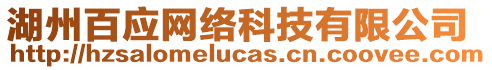 湖州百應(yīng)網(wǎng)絡(luò)科技有限公司