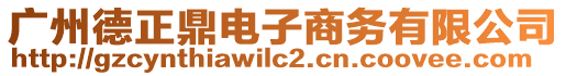 廣州德正鼎電子商務(wù)有限公司