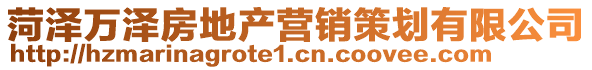 菏澤萬(wàn)澤房地產(chǎn)營(yíng)銷(xiāo)策劃有限公司