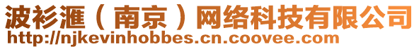 波衫滙（南京）網(wǎng)絡(luò)科技有限公司