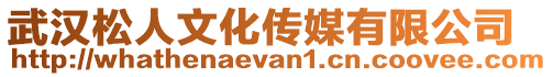 武漢松人文化傳媒有限公司