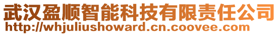 武漢盈順智能科技有限責任公司