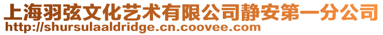 上海羽弦文化藝術(shù)有限公司靜安第一分公司