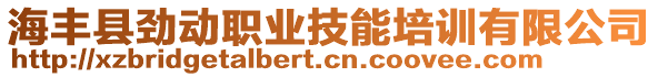 海豐縣勁動職業(yè)技能培訓有限公司