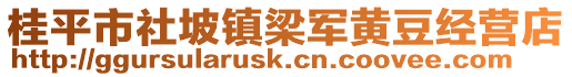 桂平市社坡鎮(zhèn)梁軍黃豆經(jīng)營店