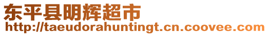 東平縣明輝超市