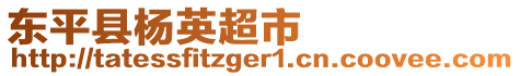 東平縣楊英超市