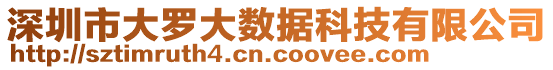 深圳市大羅大數(shù)據(jù)科技有限公司
