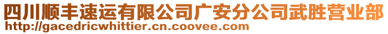 四川順豐速運有限公司廣安分公司武勝營業(yè)部