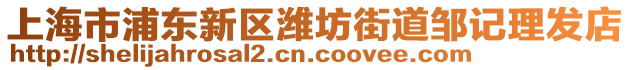 上海市浦東新區(qū)濰坊街道鄒記理發(fā)店