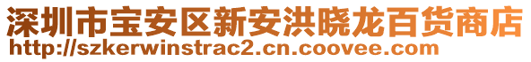 深圳市寶安區(qū)新安洪曉龍百貨商店