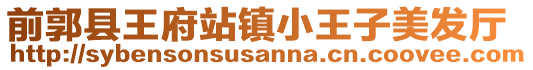前郭縣王府站鎮小王子美發廳