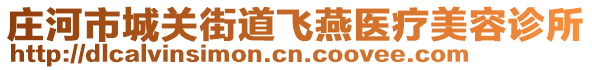 莊河市城關(guān)街道飛燕醫(yī)療美容診所