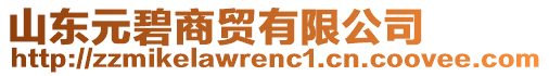 山東元碧商貿(mào)有限公司