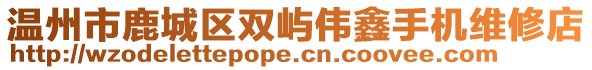溫州市鹿城區雙嶼偉鑫手機維修店