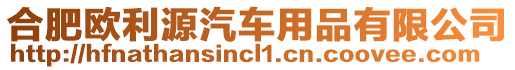 合肥歐利源汽車用品有限公司