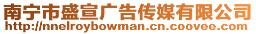 南寧市盛宣廣告?zhèn)髅接邢薰? style=