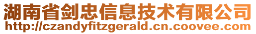 湖南省劍忠信息技術(shù)有限公司