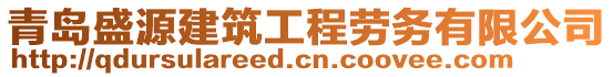 青岛盛源建筑工程劳务有限公司