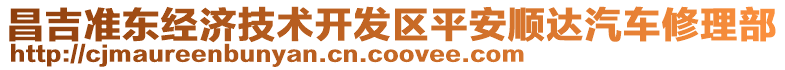 昌吉準(zhǔn)東經(jīng)濟(jì)技術(shù)開發(fā)區(qū)平安順達(dá)汽車修理部