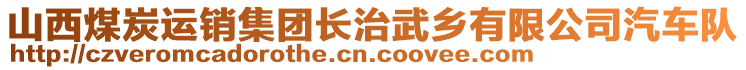 山西煤炭運銷集團長治武鄉(xiāng)有限公司汽車隊