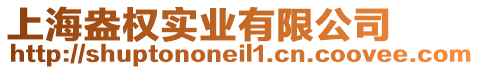 上海盎權實業有限公司