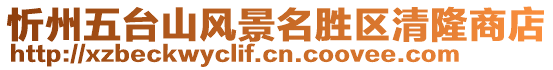 忻州五臺(tái)山風(fēng)景名勝區(qū)清隆商店