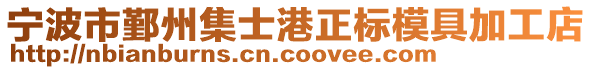寧波市鄞州集士港正標模具加工店