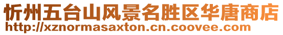 忻州五臺山風(fēng)景名勝區(qū)華唐商店