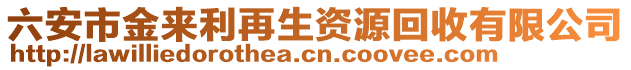 六安市金來利再生資源回收有限公司