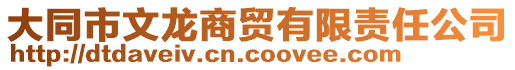 大同市文龍商貿(mào)有限責(zé)任公司