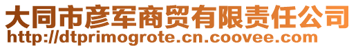 大同市彥軍商貿有限責任公司
