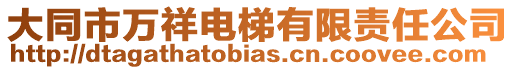 大同市萬祥電梯有限責(zé)任公司