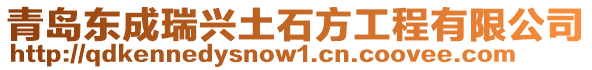 青島東成瑞興土石方工程有限公司
