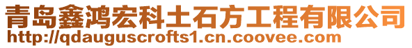 青島鑫鴻宏科土石方工程有限公司