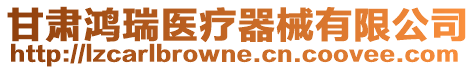甘肅鴻瑞醫療器械有限公司