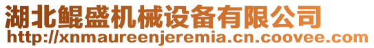 湖北鯤盛機(jī)械設(shè)備有限公司