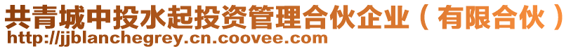 共青城中投水起投資管理合伙企業(yè)（有限合伙）