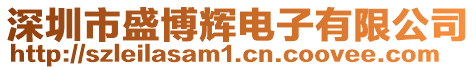 深圳市盛博輝電子有限公司