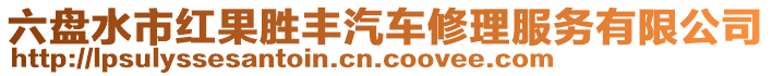 六盤水市紅果勝豐汽車修理服務(wù)有限公司