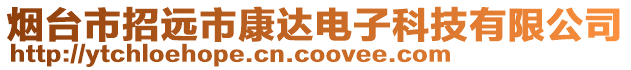 煙臺(tái)市招遠(yuǎn)市康達(dá)電子科技有限公司