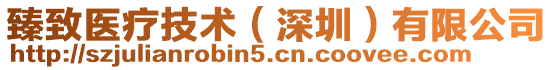 臻致醫(yī)療技術(shù)（深圳）有限公司