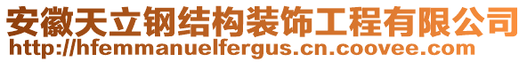 安徽天立鋼結構裝飾工程有限公司