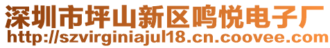 深圳市坪山新區鳴悅電子廠
