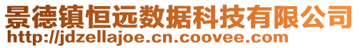 景德鎮恒遠數據科技有限公司