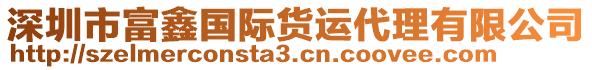 深圳市富鑫國際貨運(yùn)代理有限公司