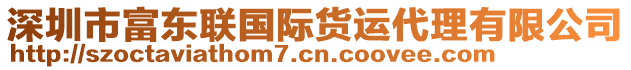 深圳市富東聯(lián)國際貨運代理有限公司